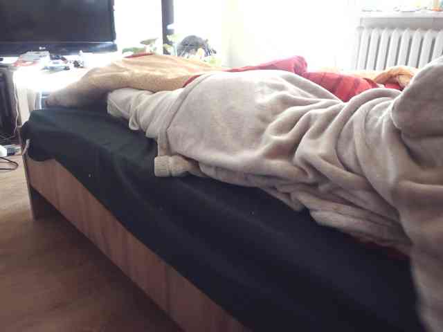 LilyLuxeXO