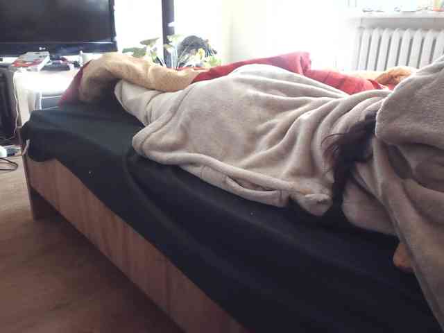 LilyLuxeXO
