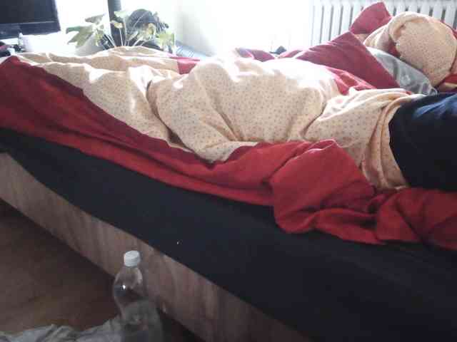 LilyLuxeXO
