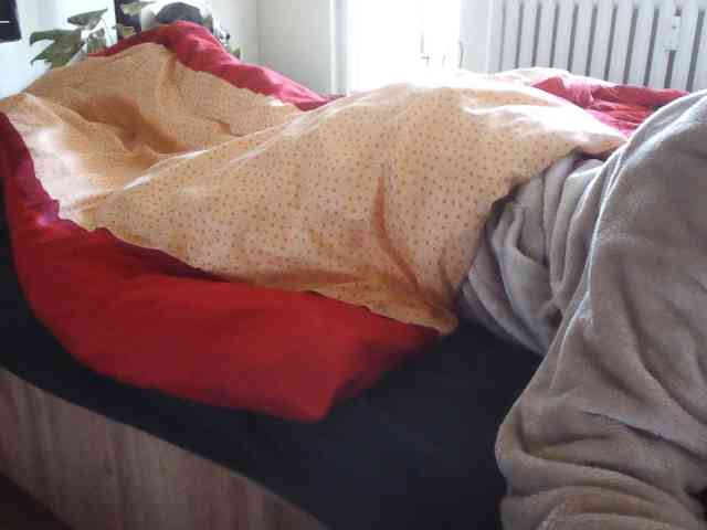 LilyLuxeXO
