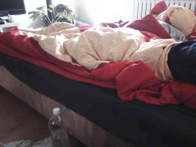 LilyLuxeXO