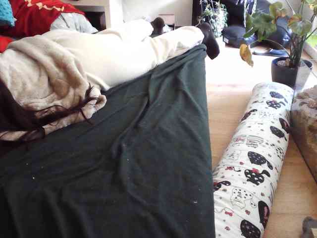 LilyLuxeXO webcam