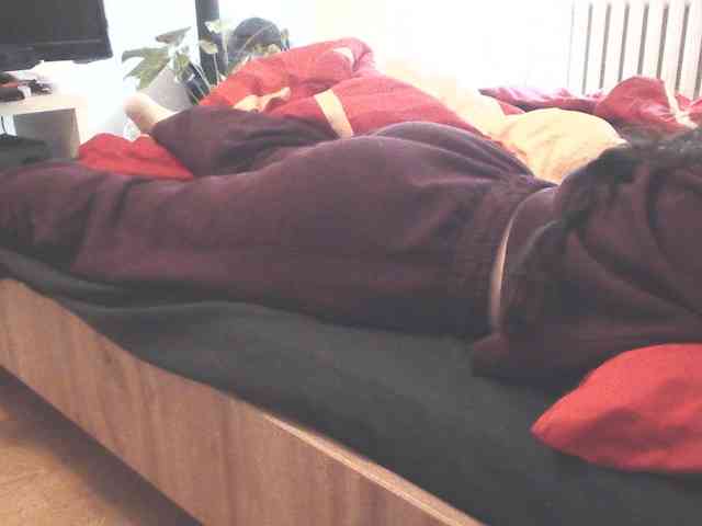 LilyLuxeXO