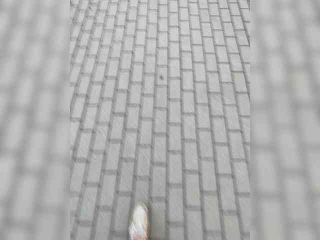 LilyLuxeXO webcam