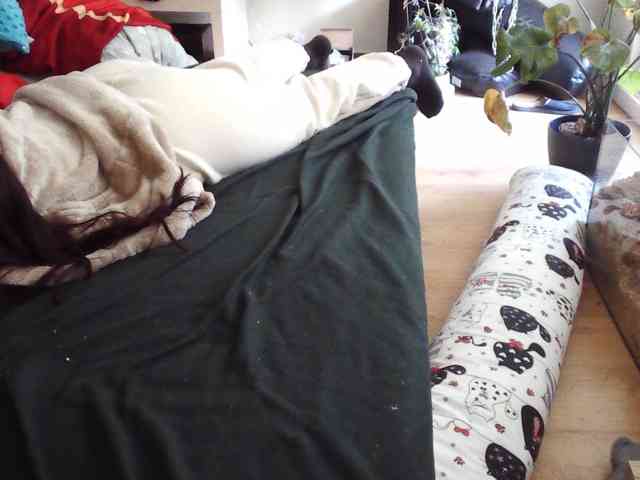 LilyLuxeXO webcam