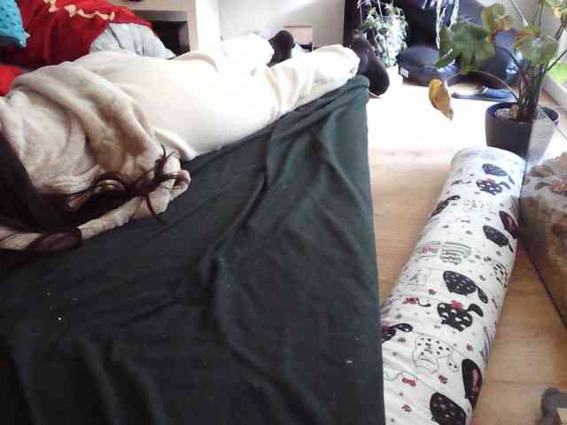 LilyLuxeXO