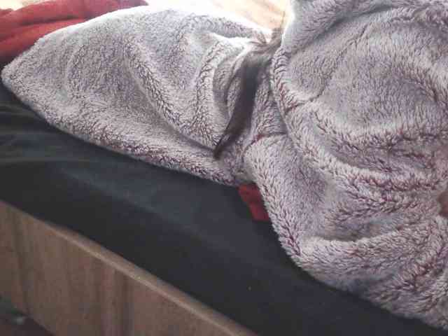 LilyLuxeXO