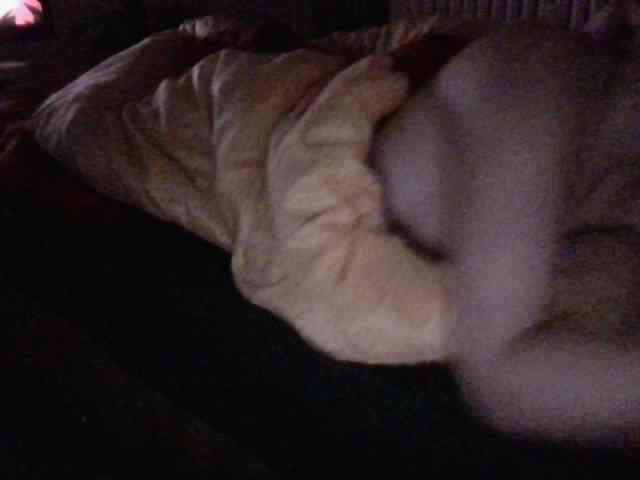 LilyLuxeXO