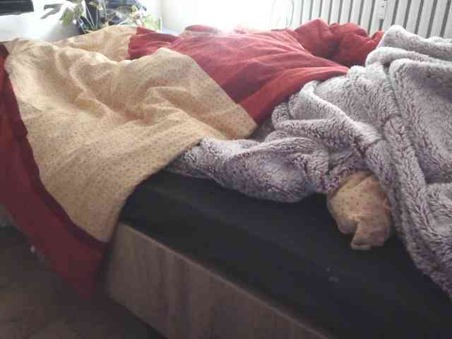 LilyLuxeXO