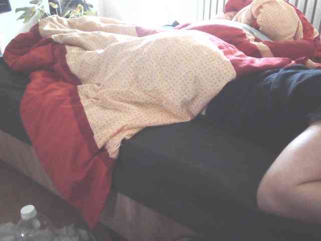 LilyLuxeXO
