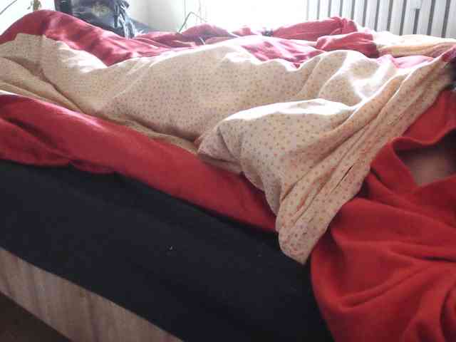 LilyLuxeXO