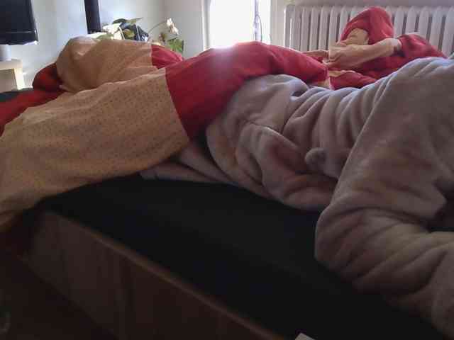 LilyLuxeXO