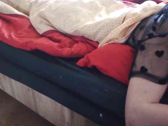 LilyLuxeXO