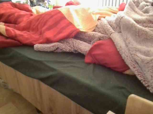 LilyLuxeXO