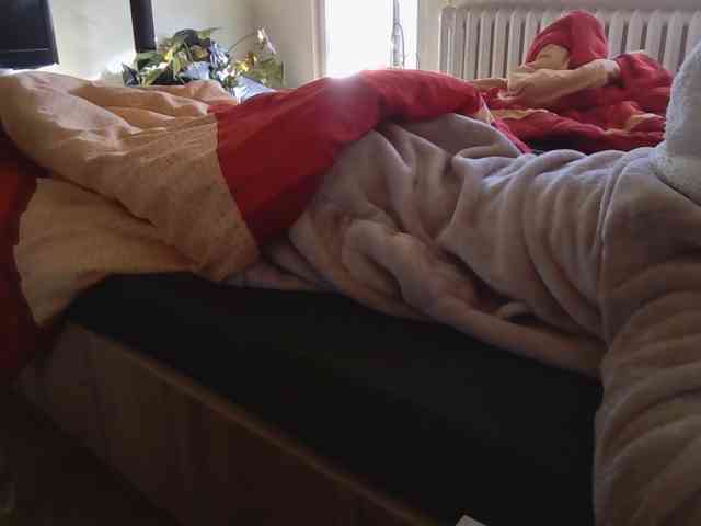 LilyLuxeXO
