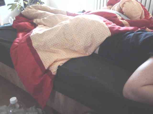 LilyLuxeXO