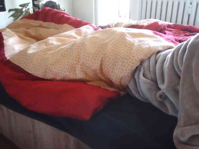 LilyLuxeXO