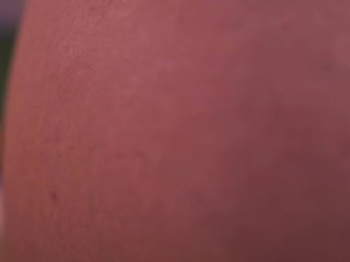 LexiSolene