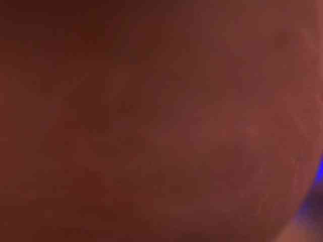 LexiSolene