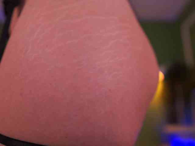 LexiSolene