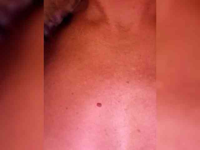 Divaya webcam