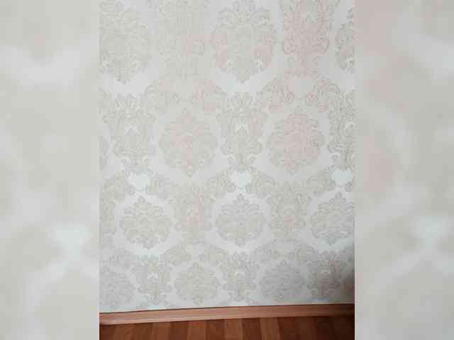 Divaya webcam