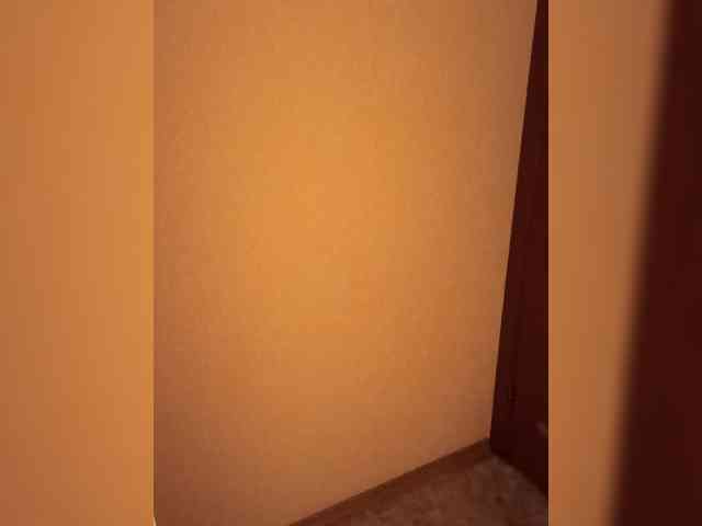 Divaya webcam