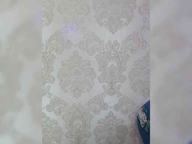 Divaya webcam