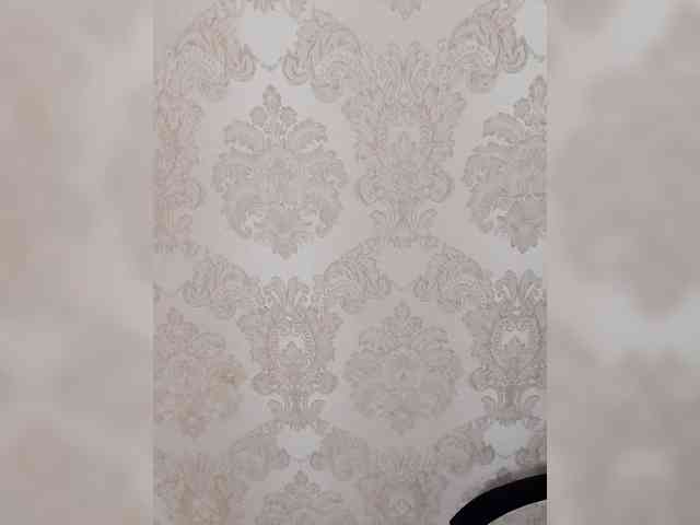 Divaya webcam