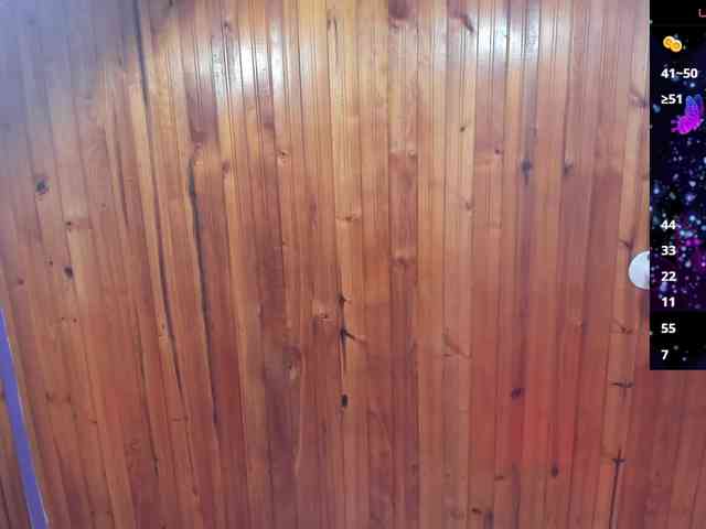mayitodelvalle webcam