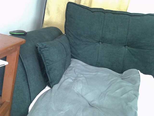 Nixies