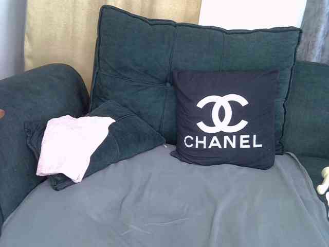 Nixies webcam