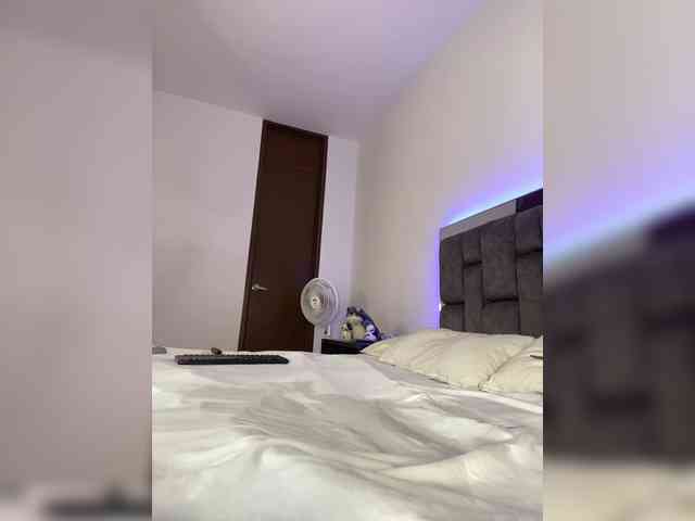 sthef-castle webcam