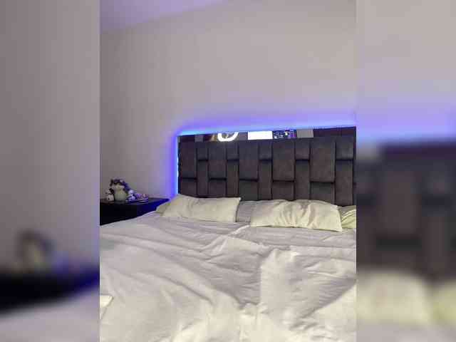sthef-castle webcam