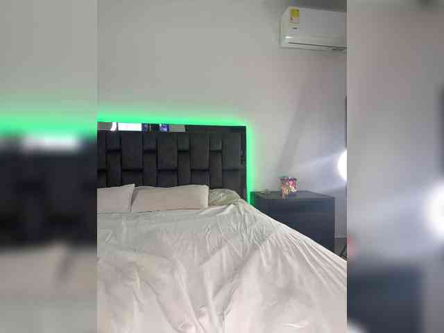 sthef-castle webcam