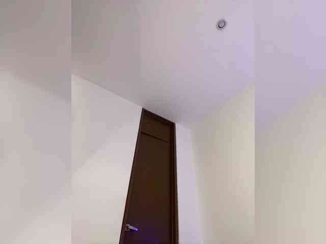 sthef-castle webcam