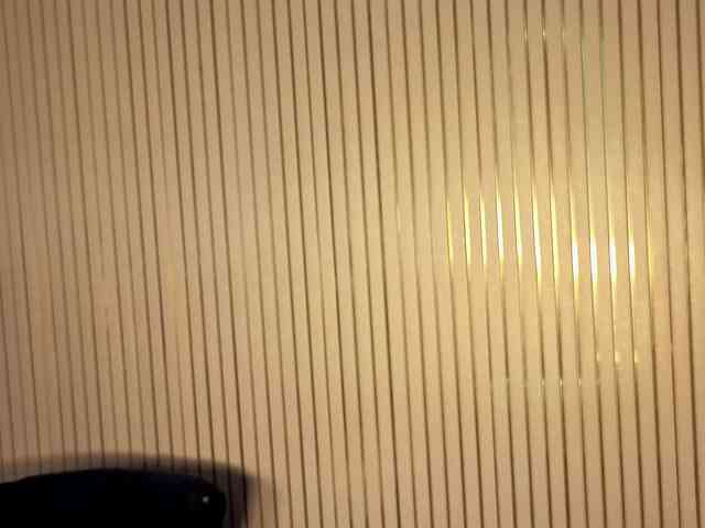 zoe-hamilton webcam