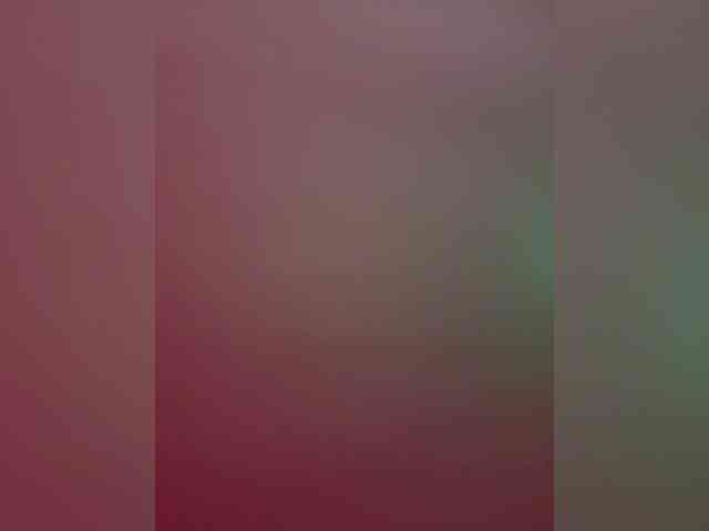 Zoloto2470770