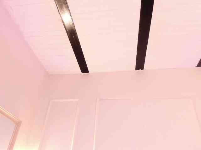 Marirousel webcam