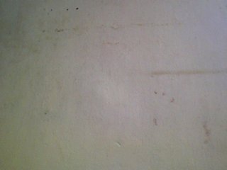 Ashni1 Porn Show
