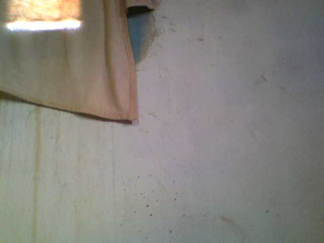 Ashni1