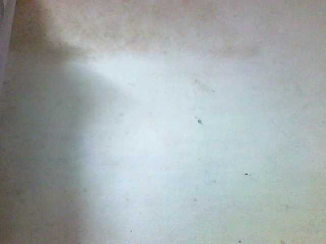 Ashni1