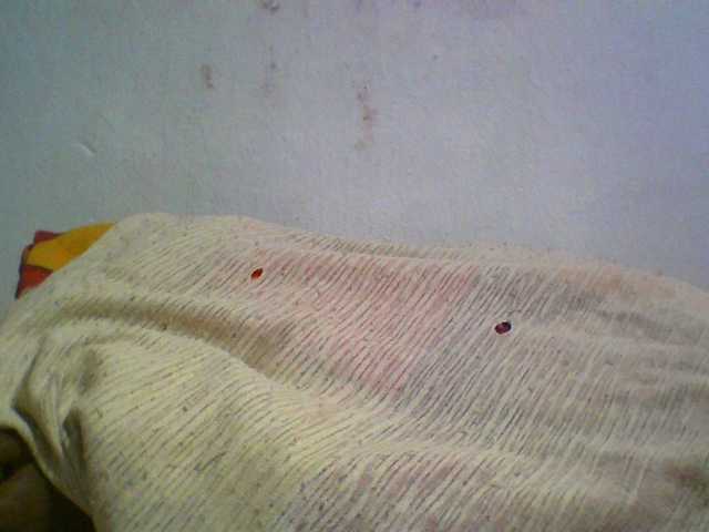 Ashni1