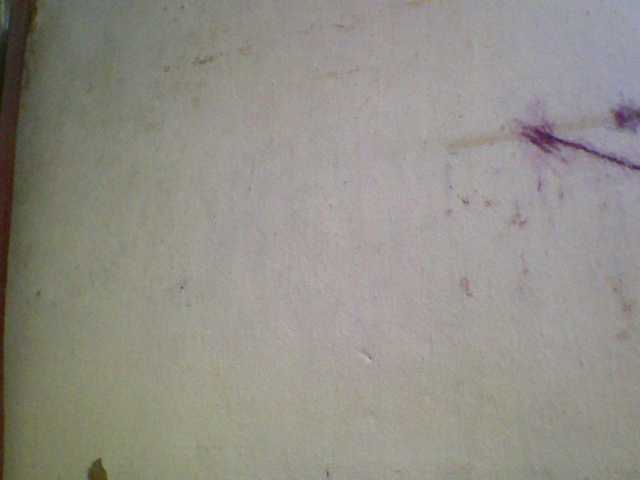 Ashni1