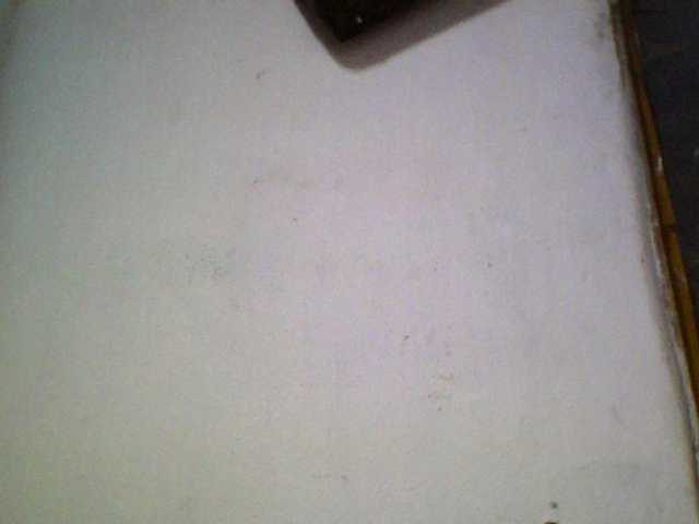 Ashni1