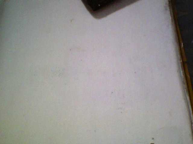 Ashni1