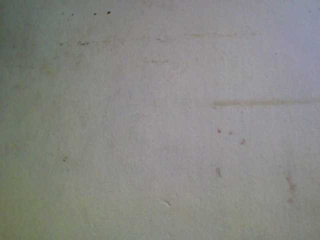 Ashni1