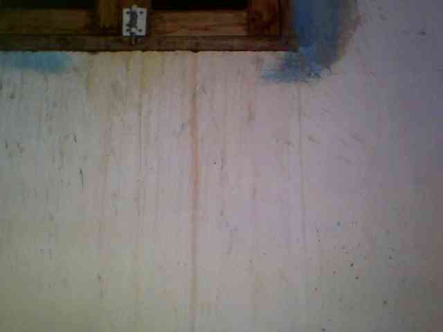 Ashni1 webcam