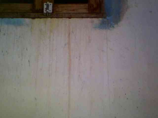 Ashni1 webcam