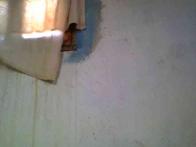 Ashni1 webcam